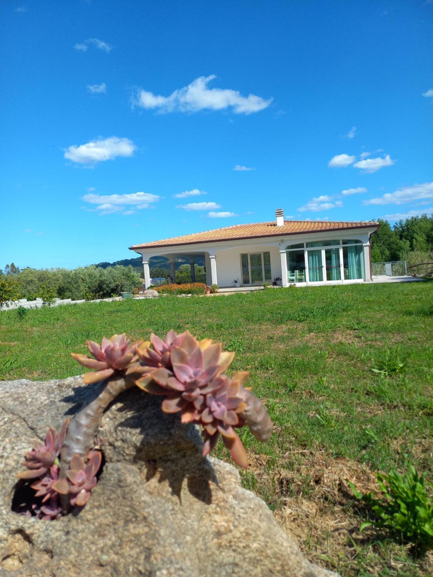 Agriturismo B&B Mares E Montes De Marrante Siniscola Eksteriør billede