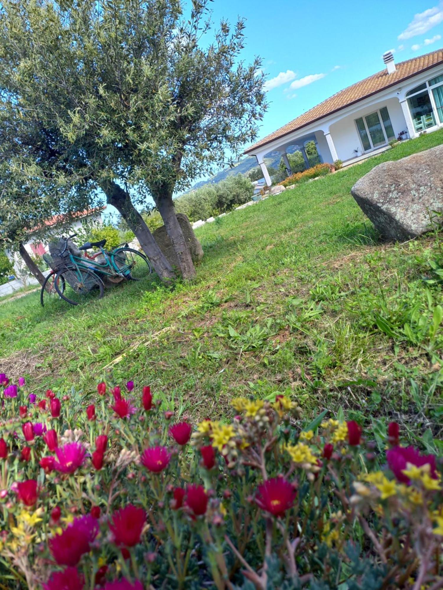 Agriturismo B&B Mares E Montes De Marrante Siniscola Eksteriør billede
